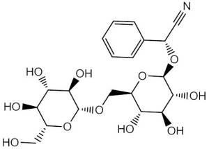 Amygdalin Powder, Bitter Almond Extract
