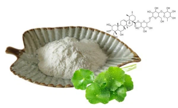 Gotu Kola Extract 90% Madecassoside Powder