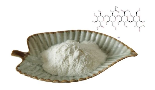 Hyaluronic Acid P owder