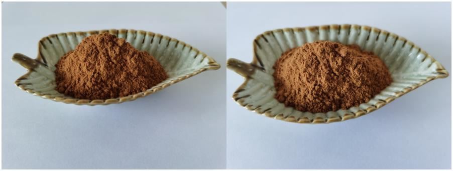 Semen Ginkgo Extract