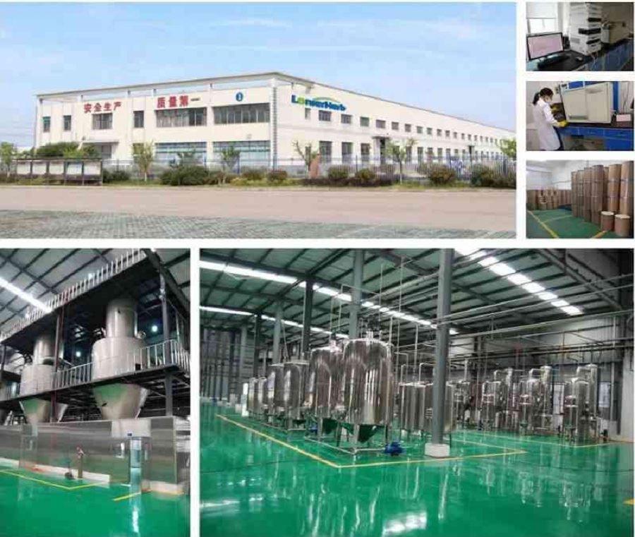 Paeonol Factory
