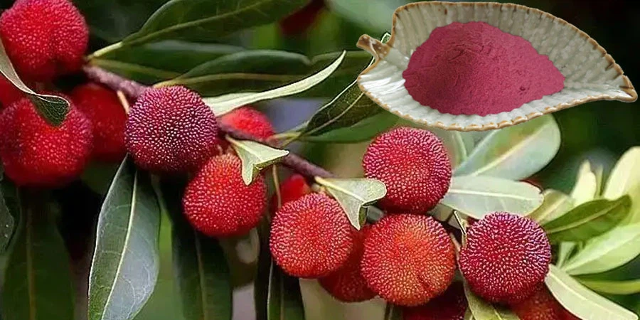 Bayberry Powder factory