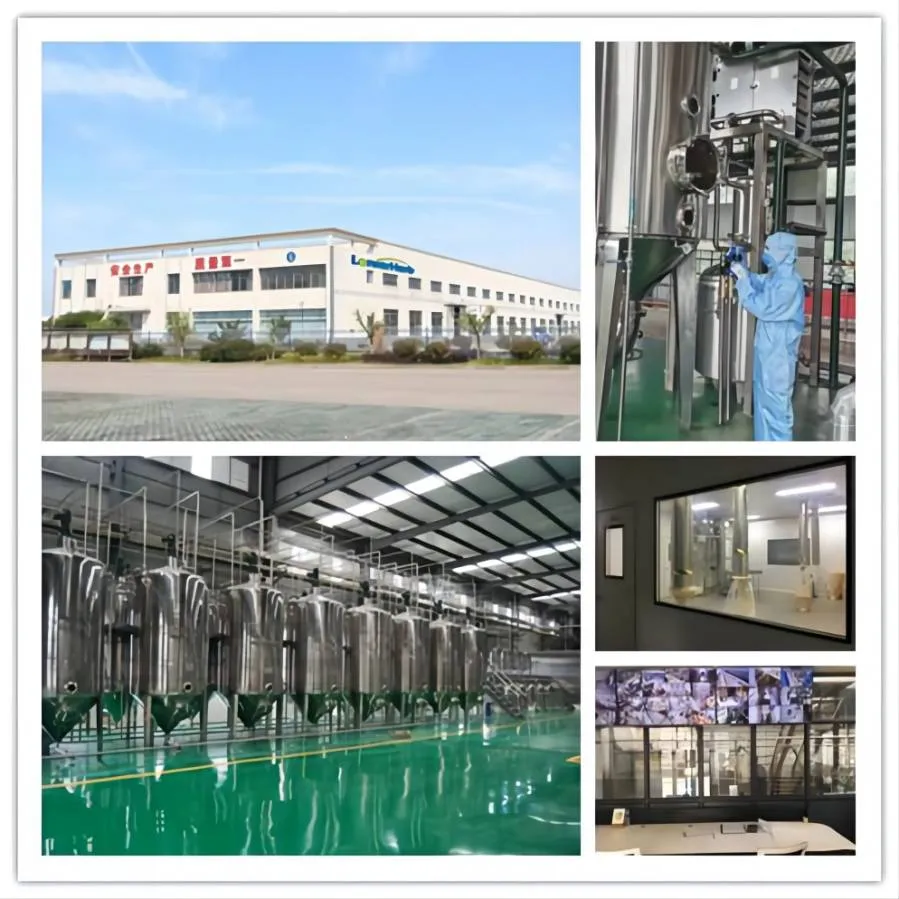 LonierHerb Factory 16