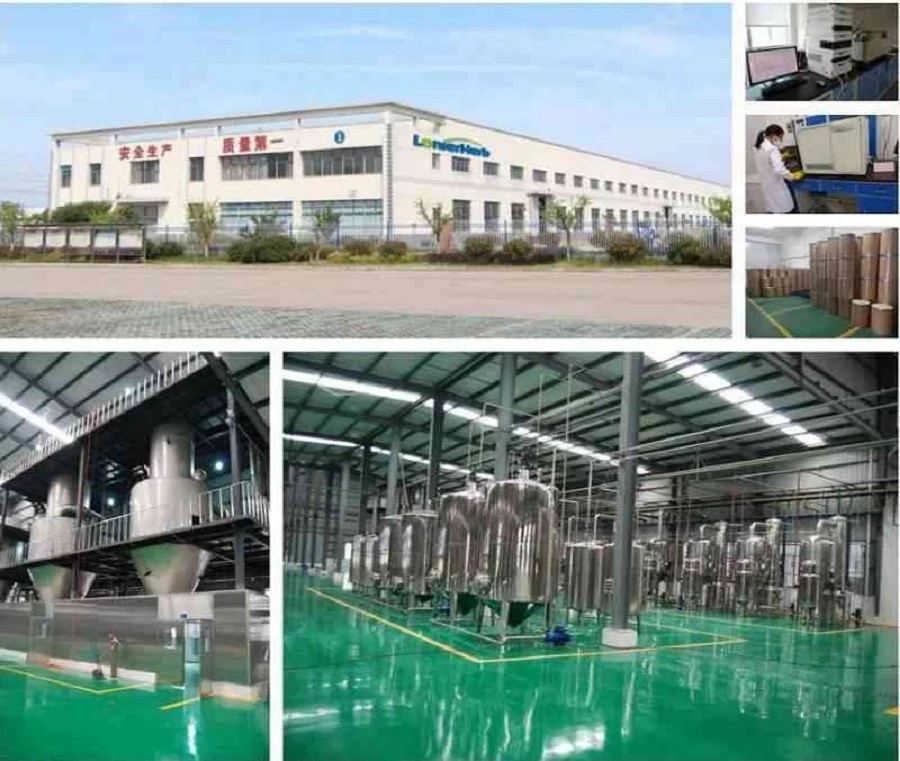 product-900-761