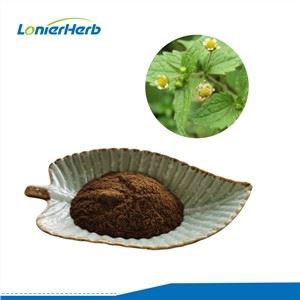 Black Cohosh ekstrakti pulber