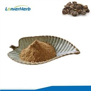 Moringa seemnepulber