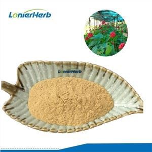 Panax Quinquefolium juureekstrakt