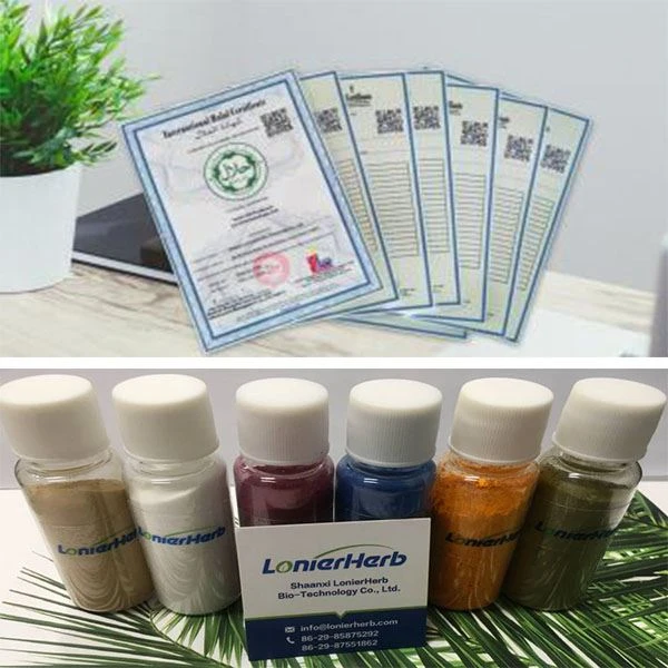 Lion's Mane Extract Powder