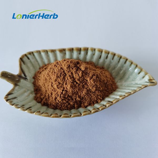 Shiitake Mushroom Extract Powder