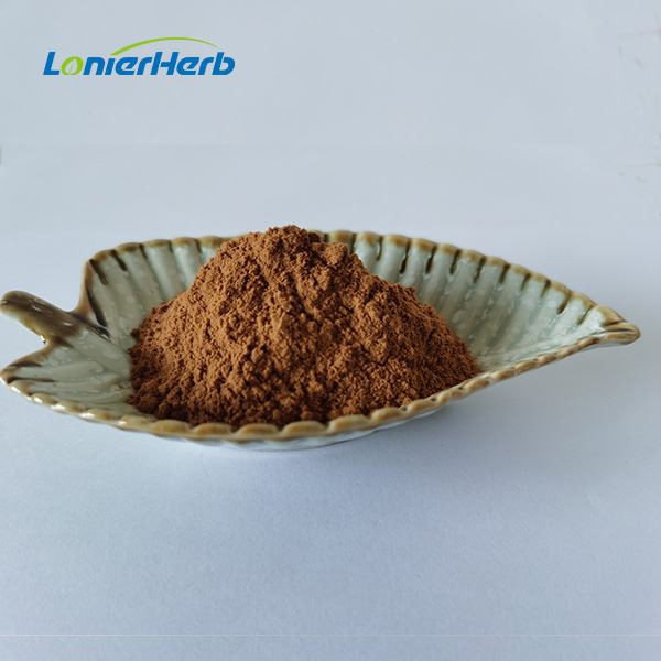 Shiitake Mushroom Extract Powder