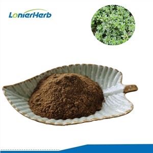 Portulaki ürdiekstrakt