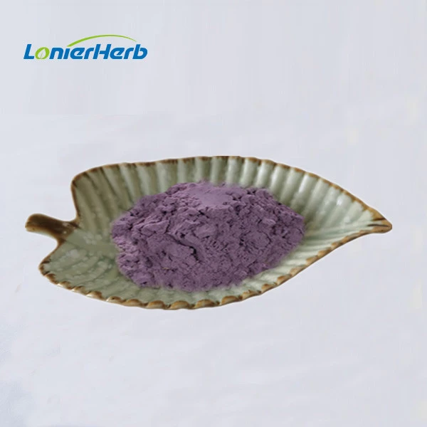 Blueberry Juice Powder