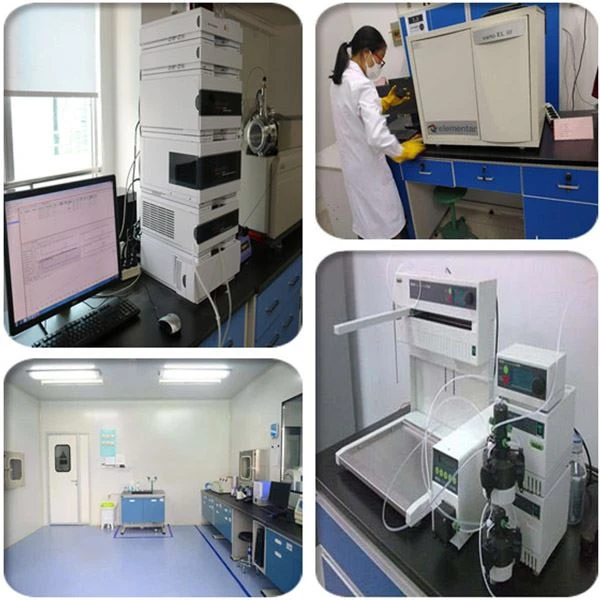 Celery Powder factory