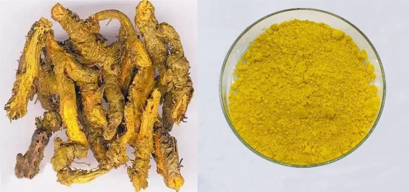 Berberine HCL Berberine HCL